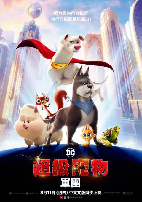 夜色导航